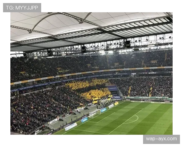 多特蒙德南看台球迷组织发起“反对比赛日票价上涨”的静默抗议