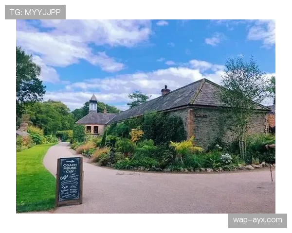 通讯：一场小型地区赛事如何成为社区凝聚剂——记录爱尔兰小镇的MMA之夜